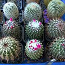 ���� ������, ������, 69 ��� - ��������� 5 ������ 2013 � ������ ���� ��������� ����������