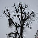 ���� � ������� �� ������� ����� � ������