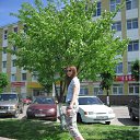  D.s., , 38  -  28  2011    2011, 