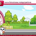   ( ), , 23  -  11  2010   PetLove