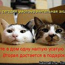 ���� �����, �����������, 41 ��� - ��������� 12 ������� 2010 � ������ �������� ���������!�