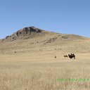 ���� Arsenty, ������������, 64 ���� - ��������� 14 ������� 2011 � ������ ���� ����������