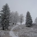  Andrei, , 46  -  28  2010     