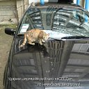 ���� �����, �����-���������, 26 ��� - ��������� 2 ������� 2011 � ������ ������