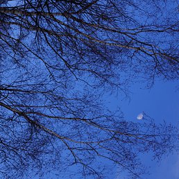  Jjjjjj, , 85  -  13  2012