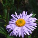 ���� ����, �������� ������ - ��������� 8 �������� 2010 � ������ ������� ��������....�