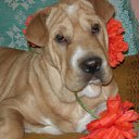 ���� ��� ����, ����, 67 ��� - ��������� 20 ��� 2011 � ������ �������