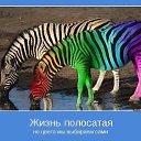 ���� ������, �����������, 64 ���� - ��������� 4 ��� 2013 � ������ ���� ����������