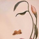 ���� Lana, ������, 54 ���� - ��������� 8 ������� 2012 � ������ �������