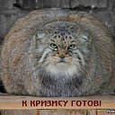 ���� ����, ������-������, 60 ��� - ��������� 2 �������� 2012 � ������ ����������