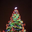  , , 28  -  29  2010   !)