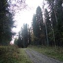  Serzh Van Der Maaremaan,  -  9  2009    