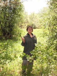 ������, ������, 36 ���