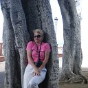 �������� �� �������� �� ������� ���� ����������