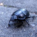 ���� �������, ������� - ��������� 10 ������ 2010 � ������ �� ����...�