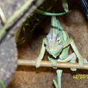 ���� Dimka, ������, 57 ��� - ��������� 11 ����� 2012 � ������ �TIERE�