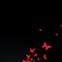 ���� ������, �����, 40 ��� - ��������� 2 �������� 2011