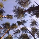 ���� ������, ������, 59 ��� - ��������� 10 ������ 2012 � ������ �������