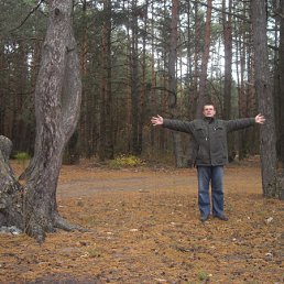 ���� Igeron, �����-���������, 57 ��� - ��������� 12 ������ 2010