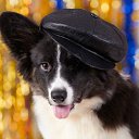 ���� ����! ���, ������������, 52 ���� - ��������� 7 ������ 2012 � ������ ��������