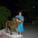 ���� ������, ���������, 51 ��� - ��������� 17 ���� 2013 � ������ ���� ����������