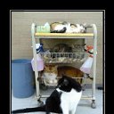 ���� �������, ������, 39 ��� - ��������� 23 ������� 2010 � ������ ��������������