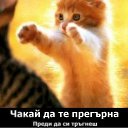 ���� ��������, ��������� - ��������� 14 ���� 2012 � ������ �������