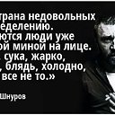 ���� ������, ��������, 41 ��� - ��������� 3 ������� 2013 � ������ ���� ����������