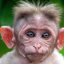 ���� ������, ������, 60 ��� - ��������� 24 ������� 2011