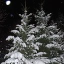 ���� ��������, ������, 73 ���� - ��������� 10 ������ 2013 � ������ ������