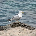 ���� �����, ��������, 45 ��� - ��������� 3 ������� 2010 � ������ ����� �������