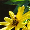 ���� ������, ������, 54 ���� - ��������� 19 ������ 2013 � ������ �NEW�