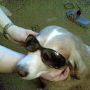 ���� Larka, ������, 52 ���� - ��������� 11 ������ 2012 � ������ ���� ����������