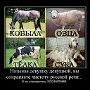 ���� &para;&copy;R��, ������ - ��������� 9 ���� 2010 � ������ �������� � �.�