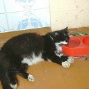   ( -        ,  -  14  2010      