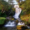 ���� �����, ������, 26 ��� - ��������� 25 ���� 2010 � ������ �������