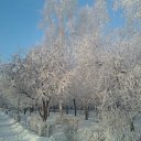  , -, 61  -  12  2012   