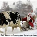 ���� �����, �������, 36 ��� - ��������� 19 ������� 2009 � ������ ���������