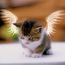 ���� ������, ������ ����� - ��������� 18 �������� 2011 � ������ �������