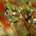 ���� �����, ������, 26 ��� - ��������� 11 �������� 2010 � ������ �����