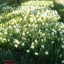 ���� Yiwangna***, ������ - ��������� 5 ��� 2012 � ������ ���������� ����� �������...�