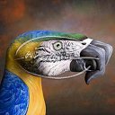 ���� ����. ��������� �� ��!, ������, 72 ���� - ��������� 1 ��� 2012 � ������ �Body art�