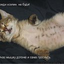 ���� ����, �����-���������, 45 ��� - ��������� 3 ���� 2011 � ������ �������������)�