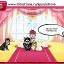  , , 35  -  5  2011   PetLove