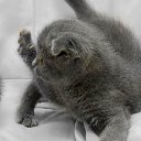 ���� ����� - ���������� ��������!!!, �����������, 56 ��� - ��������� 4 ������� 2009 � ������ ����������� :-)�