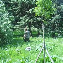 ���� ����, �����-���������, 50 ��� - ��������� 7 ���� 2011 � ������ ���� ����������