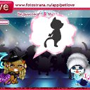 ���� �������!, �����������, 26 ��� - ��������� 25 ������� 2010 � ������ �PetLove�