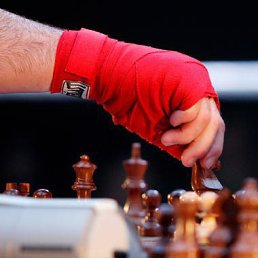 �����, ��������, 46 ���