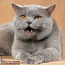 ���� �����, ������, 26 ��� - ��������� 25 ���� 2010 � ������ ���������