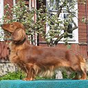 ���� &deg;&bull;*������&deg;&bull;*, ����������, 23 ���� - ��������� 3 ���� 2010 � ������ ��������!�